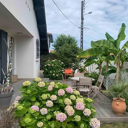 Jolie Avec Piscine Chauffee Anglet